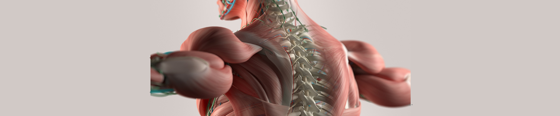 Δισκεκτομή Θωρακικής Μοίρας Μέθοδος Transpedicular
